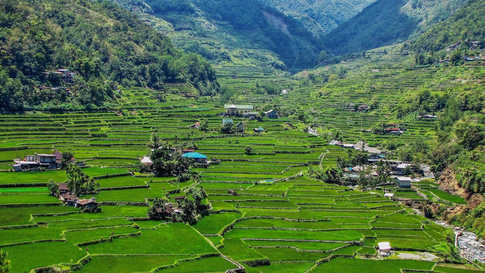 Nagacadan Rice Terraces