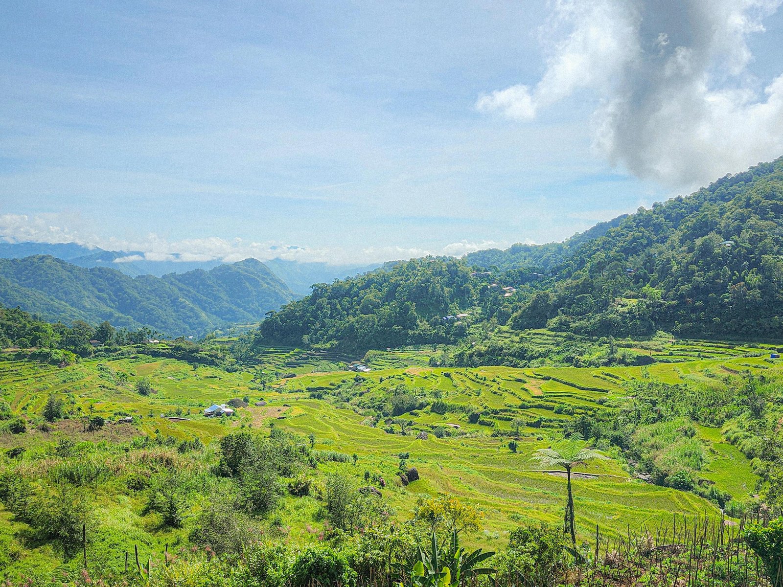 Nagacadan Rice Terraces - photo 2