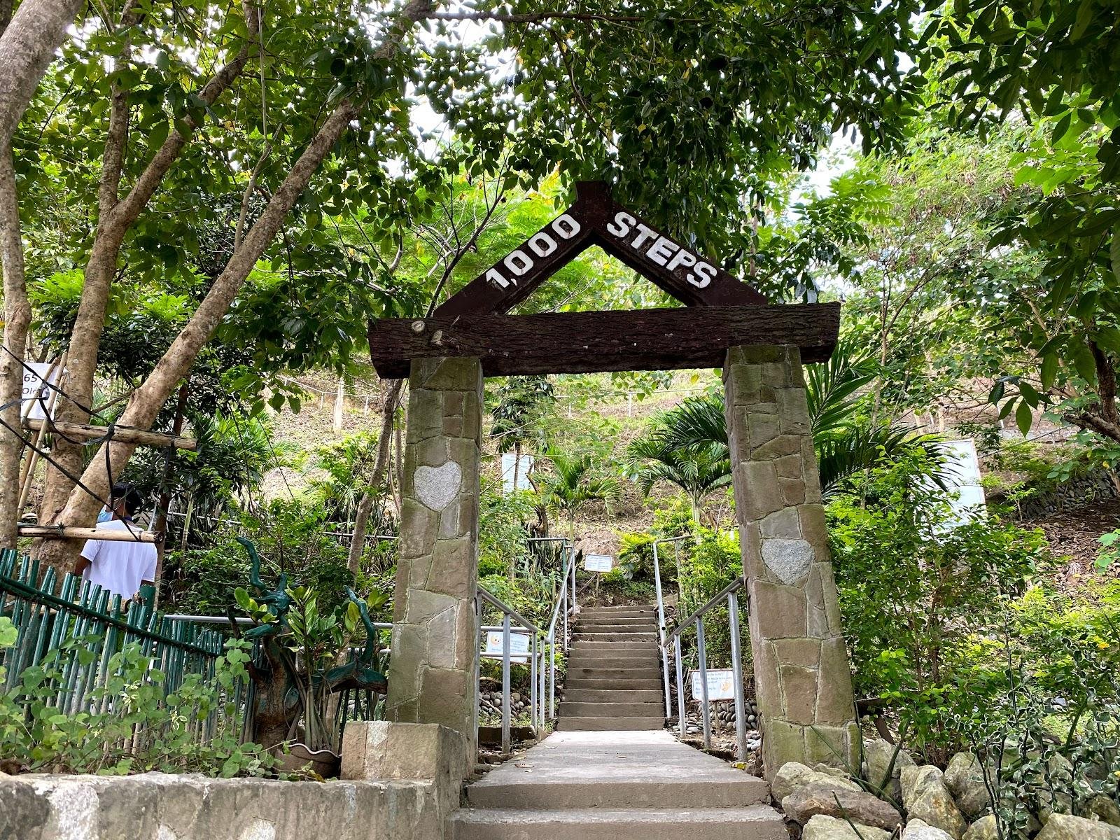 1,000 Steps Eco-Park - photo 2