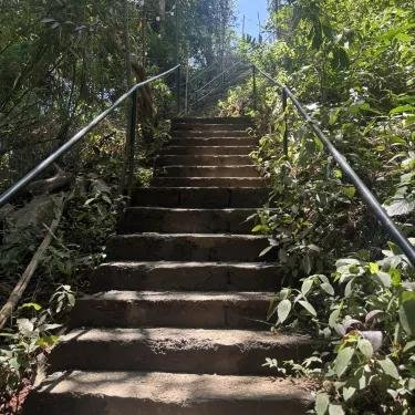 1,000 Steps Eco-Park - photo 4
