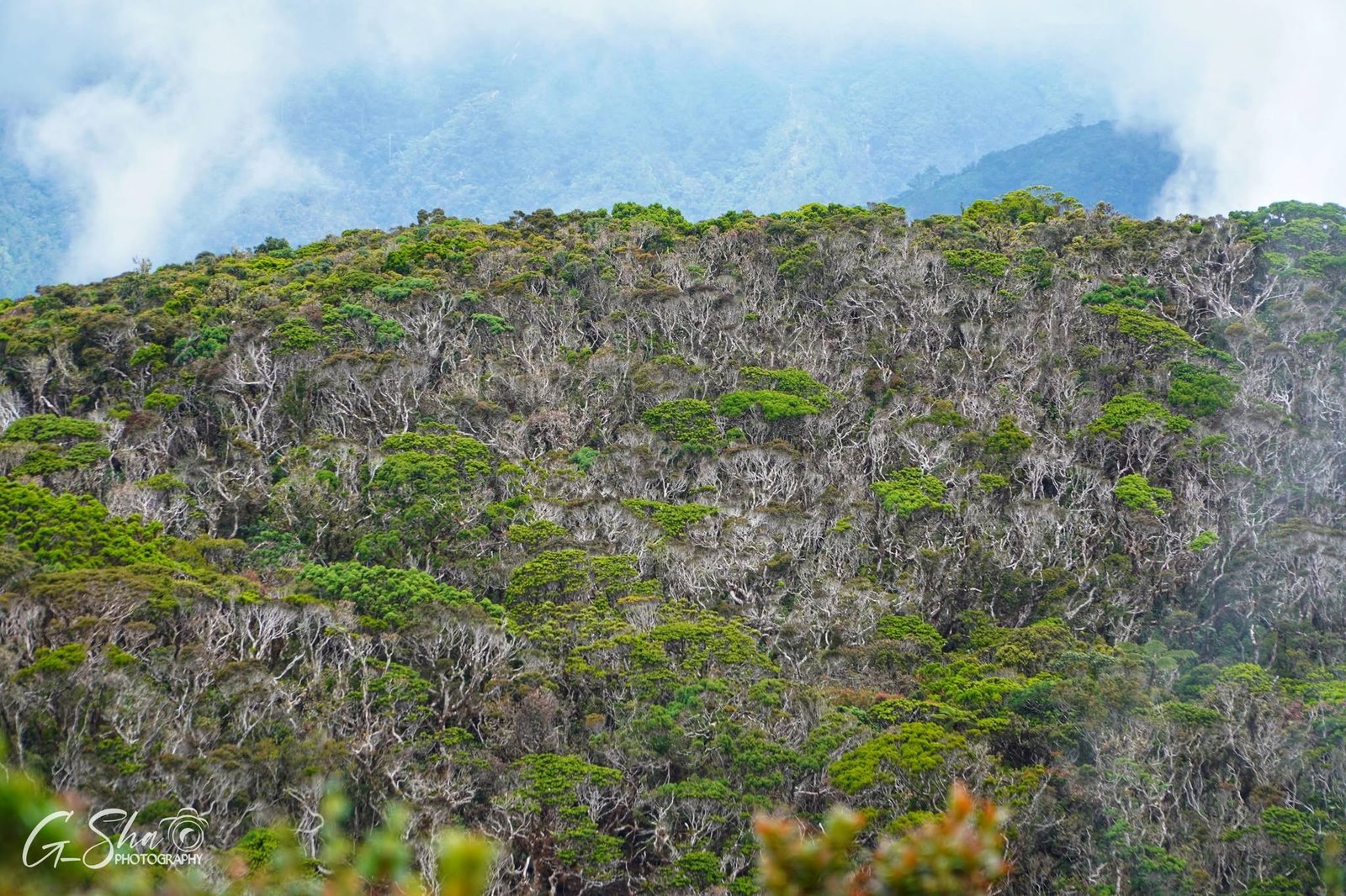 Mt. Napulwan - photo 3